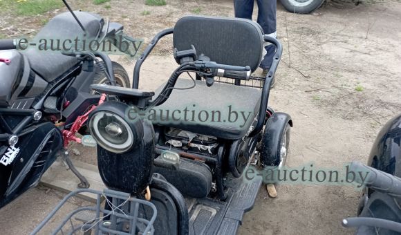 Трицикл BNP Zevs