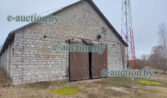 Комплекс капитальных строений вблизи д. Мицкевичи (Барановичский район)
