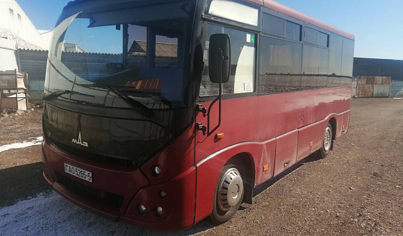Автобус МАЗ 241030, 2014