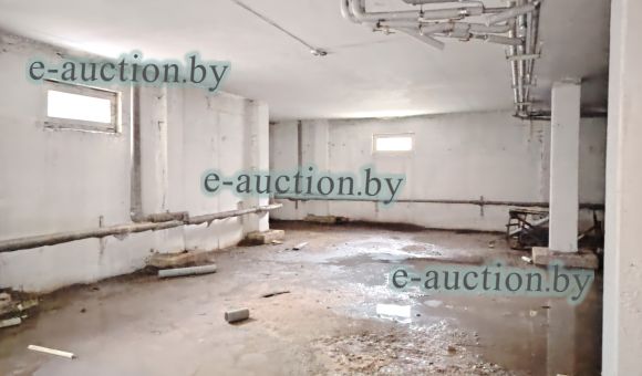 Помещение неустановленного назначения (подвал) в г. Витебске, площадью 354.1 м²