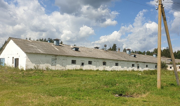 Здание сарая-свинарника в д. Толкачевичи, площадью 1971м²