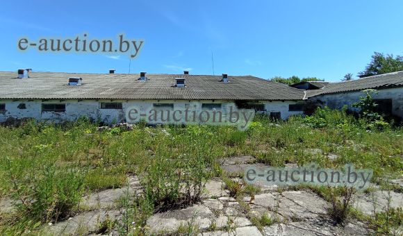 Свинарник-доращивания в д. Мацкевичи (Копыльский район), площадью 973.9 м²