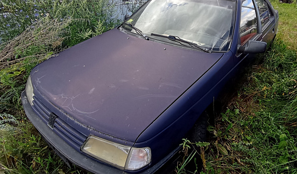 Peugeot 405, 1992