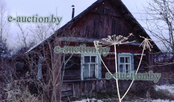 1/2 доля в праве собственности на жилой дом в д. Дохноры (Полоцкий район), площадью 26.5 м²