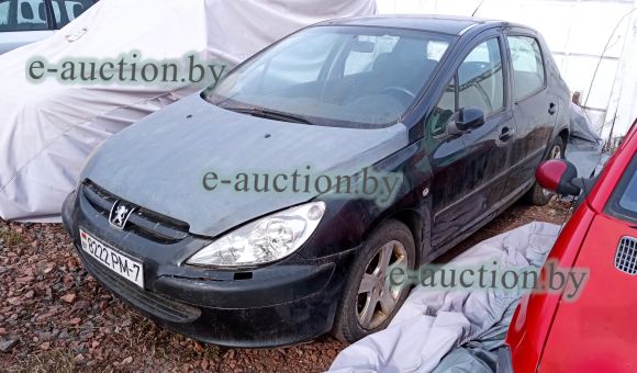 Peugeot 307, 2004