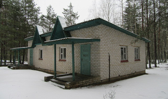 Летний домик №7 около д. Коровчено (Быховский район) площадью 68м²