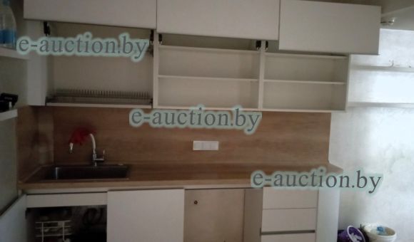 Кухонный гарнитур, состоящий из шкафов, навесных полок и посудомоечной машины ELECTROLUX №20