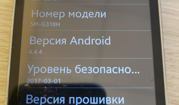 Смартфон Samsung SM-G318H