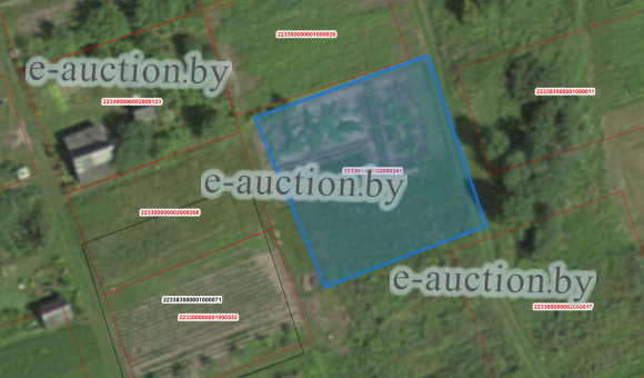 Земельный участок в СТ «Веснянка» (Миорский район), площадью 0.0880 га