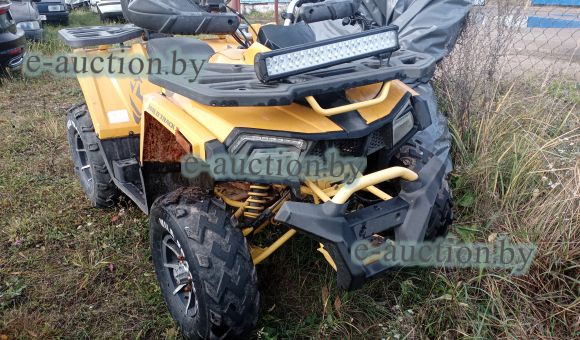 Квадроцикл Motoland 200 WILD TRACK X PRO