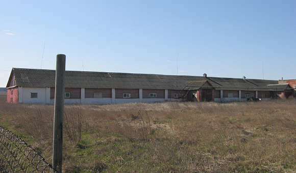 Здание свинофермы в д. Розановщина, площадью 1015.3м²