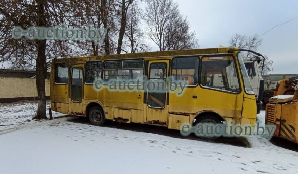 Автобус Радимич А09202, 2010