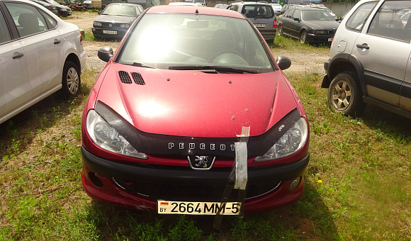 Peugeot 206, 2009