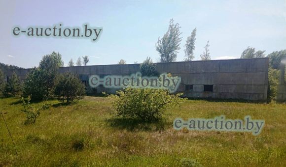 Здание производственного цеха вблизи д. Лотвичи (Барановичский район), площадью 1249.8 м²