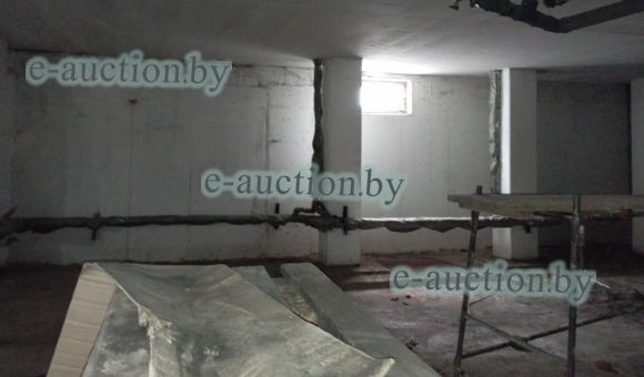 Помещение неустановленного назначения в г. Витебске, площадью 289.5 м²