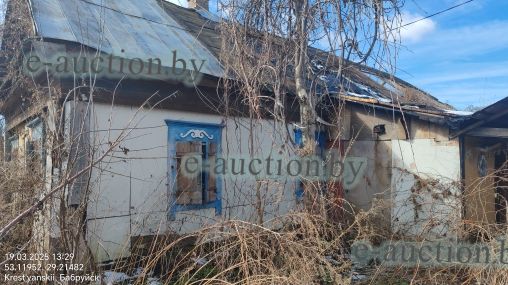 7/12 долей в праве собственности на жилой дом в г. Бобруйске, площадью 59м²