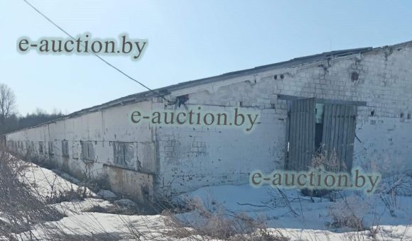 Здание коровника вблизи д. Колбовка (Ветковский район), площадью 1762.1м²