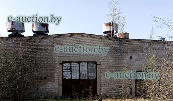 Здание картофелехранилища в г. Чаусы, площадью 2535.2м²
