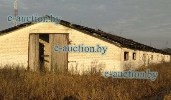 Здание телятника вблизи д. Великие Селютичи (Петриковский район), площадью 670.4м²