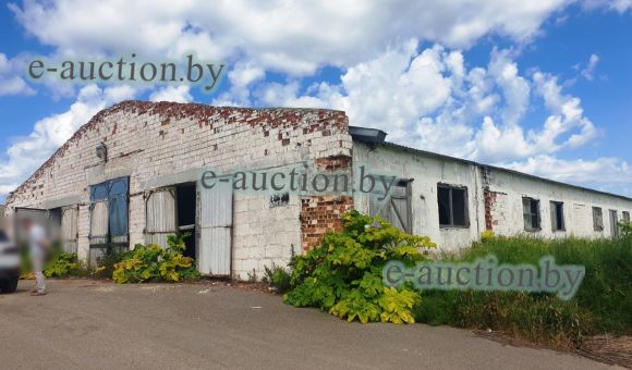 Коровник вблизи д. Пушкари (Витебский район) площадью 1646.9 м²