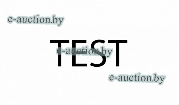 Тестовые электронные торги