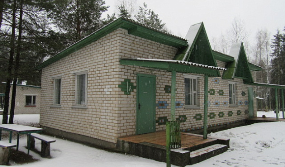 Летний домик №1 около д. Коровчено (Быховский район) площадью 68м²