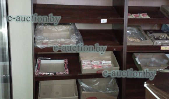 Стеллаж высокий с дверцами снизу №1