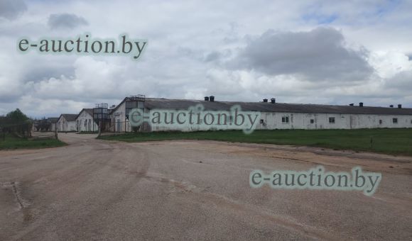 Комплекс недвижимого имущества вблизи аг. Верховье (Бешенковичский район)