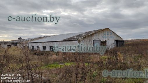 Коровник №5 с навесом для телят вблизи д. Поплавщина (Могилевский район) площадью 1591.4м²