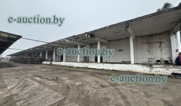 Картофелехранилище в г. Могилеве, площадью 5850.2м²