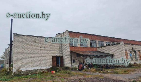 Жилой дом в п. Радеево (Буда-Кошелевский район), площадью 1437,5м²