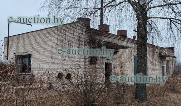 Здание мазутонасосной в г. Чаусы, площадью 220.9м²