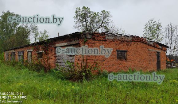 Здание хозсарая в гп Белыничи