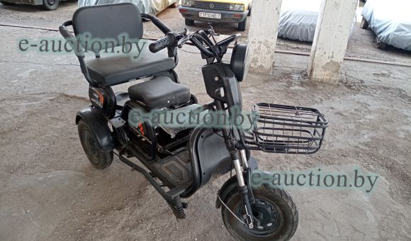 Трицикл "Fashion"