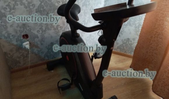 Велотренажер Sundays 