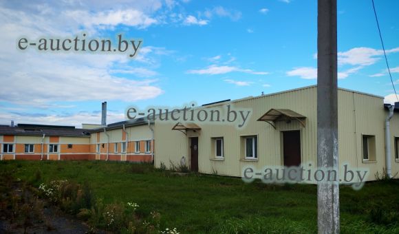 Здание МТФ вблизи аг. Конковичи (Петриковский район), площадью 955.6м²