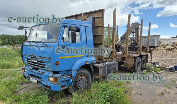 КАМАЗ 65117, 2009