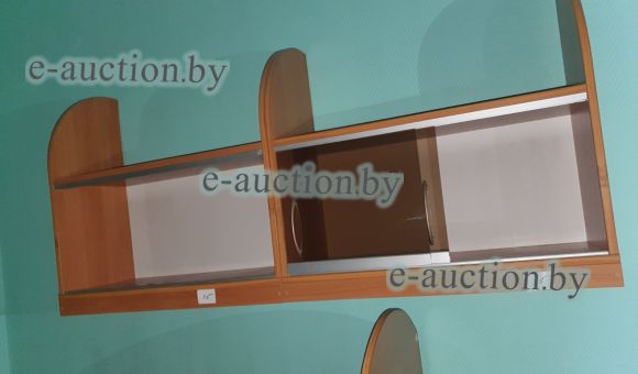 Полки со стеклянными дверцами №10