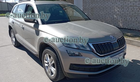 Skoda Kodiaq, 2020