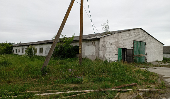 СТФ "Жабыки" (свинарник №2) вблизи д. Жабыки (Костюковичский район) площадью 2374.2м²