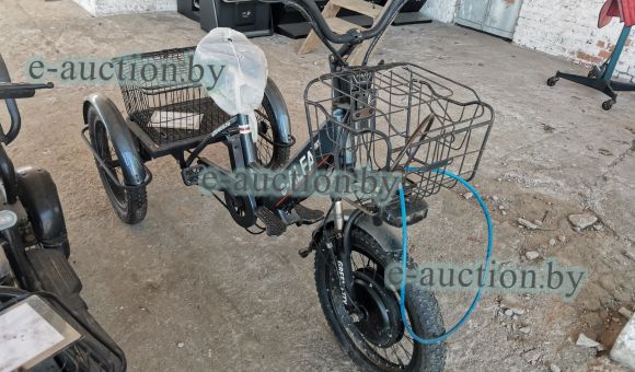 Электроцикл Green City e-Alfa Trike
