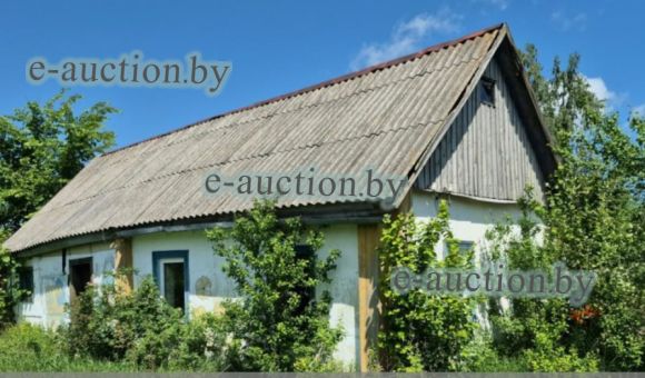 Жилой дом в д. Николаевка (Добрушский район), площадью 21.5м²