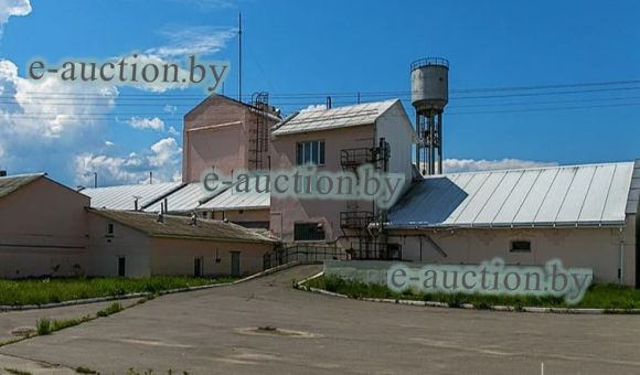 Здание производственного корпуса спиртозавода в аг. Стреличево (Хойникский район), площадью 2948.8м²