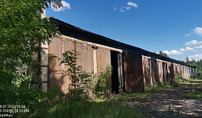 Производственный цех для обработки древесины и производства изделий из древесины в д. Верейцы (Осиповичский район) площадью 1591.2м²