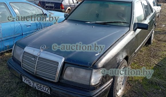 Mercedes-Benz 250D, 1989