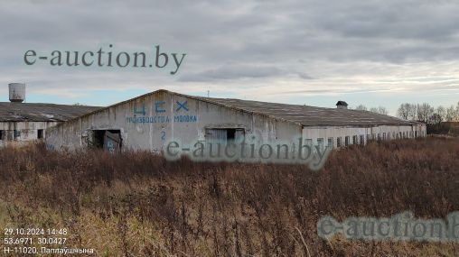 Коровник №2 вблизи д. Поплавщина (Могилевский район) площадью 1591.9м²