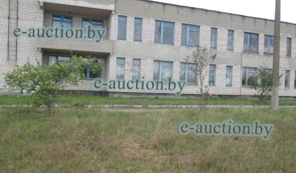 капитальные строения: Двухэтажное кирпичное здание школы с цокольным этажом, подвалом и др. принадлежностями; одноэтажное блочное здание овощехранилища ; одноэтажное кирпичное здание хозяйственного корпуса; одноэтажное кирпичное здание хлораторной и др.