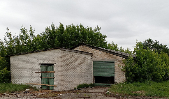 СТФ "Жабыки" (свинарник №1) вблизи д. Жабыки (Костюковичский район) площадью 890.1м²
