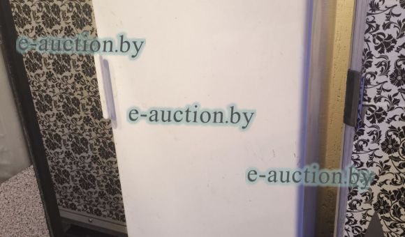 Морозильник Indesit SFR 167 NF