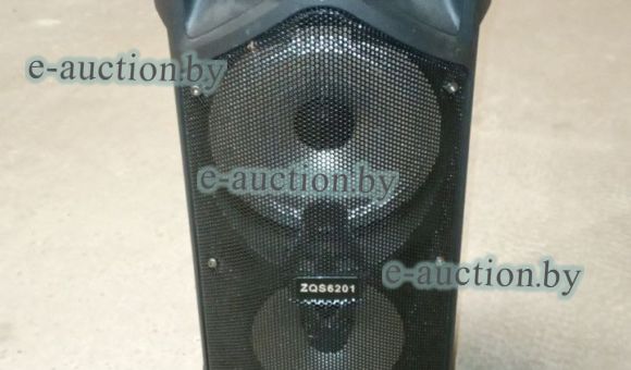 Колонка ZQS6201